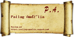 Pallag Amália névjegykártya